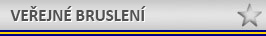 Veřejné bruslení